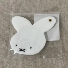 Item thumbnail for item 5bd5d57a-1a60-4987-9a09-d1d75218f517