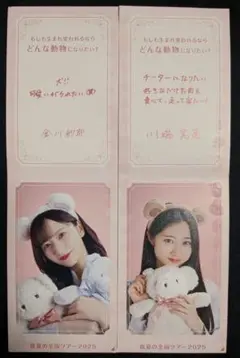 乃木坂46 乃木めくり モバイル カード 金川紗耶 川端晃菜