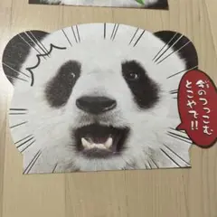 動物顔型メモ用紙セット