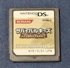 サバイバルキッズ NINTENDO DS