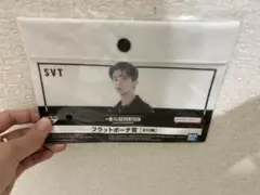 【SEVENTEEN】フラットポーチ DK