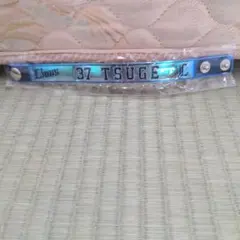 Item thumbnail for item 99575f74-a3d2-4945-a2f2-260ed9590088