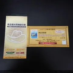 ANA機内・空港お買い物クーポン4分 2023年3月末まで有効-ansglobal.in