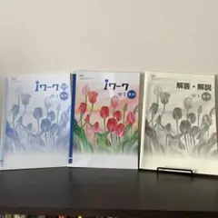 iワーク 中1 理科 啓林 解答解説付き