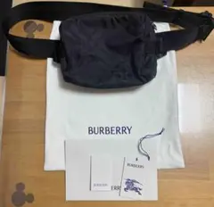 Item thumbnail for item 2df7141a-ee83-4a54-a528-8f86ea4dc12d