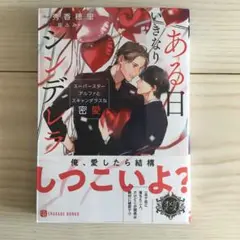 ある日いきなりシンデレラ ～スーパースターアルファとスキャンダラスな密愛～