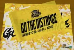 Item thumbnail for item a3f212f2-4bd7-461c-9831-1eae87b60281