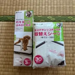 Item thumbnail for item 90bb35f2-1e43-4279-9b57-dda64eff9ebb