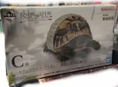 爬虫類一番くじ C賞