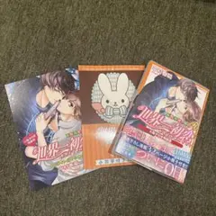 世界一初恋　20巻　特装版　アニメイトセット