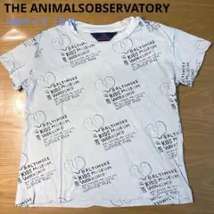 THE ANIMALS OBSERVATORY