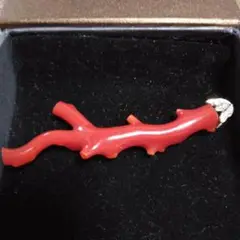 赤枝珊瑚ペンダントトップ ホワイトゴールド ダイア