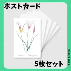 Item thumbnail for item 2f73ba3b-325a-425a-8b51-81c4bcd360e4