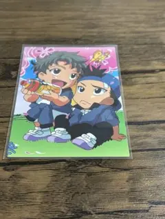 テニスの王子様 鳳＆宍戸 トレーディングカード お花見