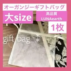 Item thumbnail for item 6c53fff4-08e4-4d5f-8f79-d8789ecfa644