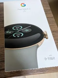 Google Pixel Watch 2 LTE 本体