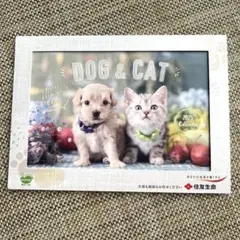 犬&猫 卓上カレンダー2025年(住友生命)