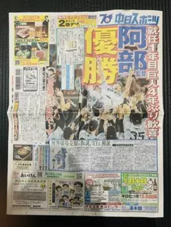 巨人　ジャイアンツ　読売　東京　2024優勝　中日スポーツ【未読品】