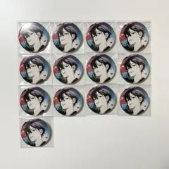 VSAMBIVALENZ ビバレン スバル 缶バッジ raise 13点
