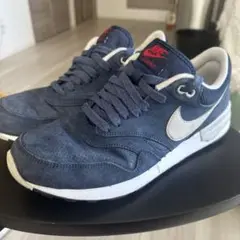 Nike Air Odyssey ネイビー 27センチ　ナイキ　オデッセイ