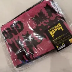 FTISLAND ソウルコン ”MAD HAPPY“ グッズ　タオルスローガン②