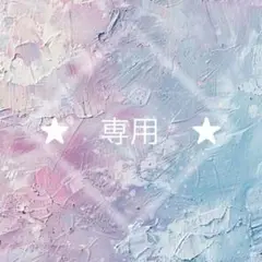 断捨離中❁⃘*.様★専用