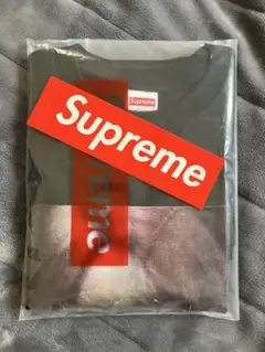 【新品未使用・Lサイズ】Supreme Red Eyes Tee
