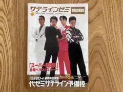 代々木ゼミナール2015/16フレックス・サテライン後期パンフレット　高橋ひかる 高橋ひかる、雰囲気がらり！ スリットから美脚すらり ビンテージ