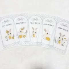 リボンうさぎweeklyタイプ　A6 saving リフィルバインダー貯金韓国