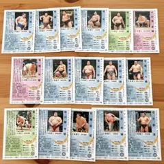 ★新品　16枚★ 大相撲トレーディングカードセット 16枚セット①