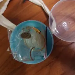 正規品　うちの子のけだまだま　シャム