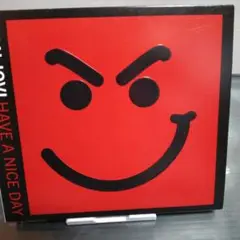 BON JOVI HAVE A NICE DAY CD　DVD