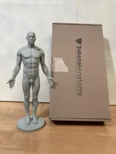 2025年最新】3dtotal anatomyの人気アイテム - メルカリ