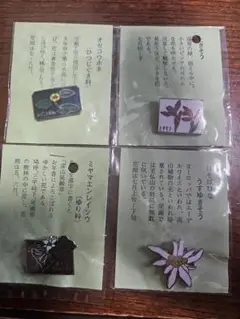 【期間限定値下げ】高山植物 ピンバッチ