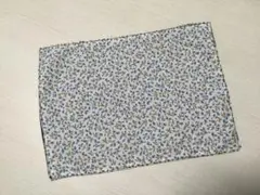 Item thumbnail for item 55e24ad6-e850-42ca-a400-0cfd951742f2