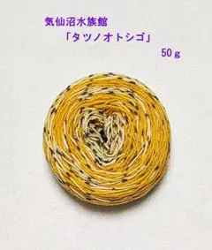 【オパール毛糸 ハーフ】気仙沼水族館 「タツノオトシゴ」 ５０g