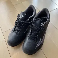 ミズノ　サッカースパイク トレーニング　24cm