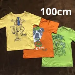 100cm 半袖Tシャツ3枚セット
