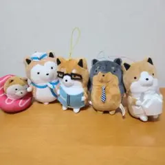 たるしば5体セット