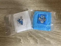 リストバンド2コセット