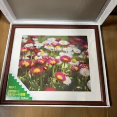 フジカラー FUJICOLOR 木製額縁 M21 4切　ブラウン 9個セット