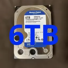 Western Digital HDD 6TB 動作確認済 通電2888時間