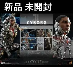 2025年最新】ホットトイズ サイボーグの人気アイテム - メルカリ