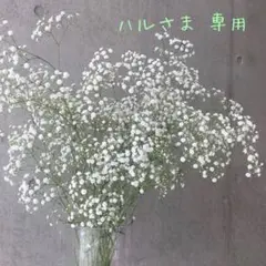 ハルさま 専用