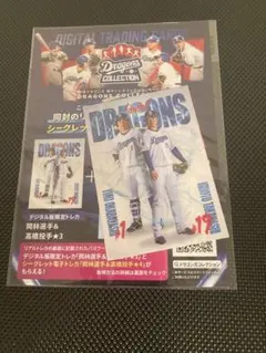 中日ドラゴンズ 岡林 髙橋 ドラゴンズ コレクション