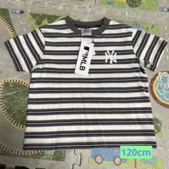 新品‼️MLB ヤンキース NY 半袖ストライプ Tシャツ 120 チャコール