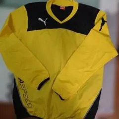 Item thumbnail for item 29a5ed6f-7999-421c-92fa-c97127909aae