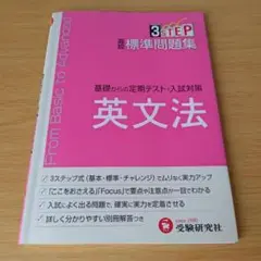 a 高校標準問題集英文法 書き込みあり