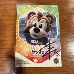 サンフレッチェ広島 サンチェ 直筆サインカード