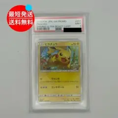 チャンピオンズフェスティバル WCS2022 参加者限定 プロモ ピカチュウ チャンピオンズフェスティバル WCS2022 参加者限定プロモ